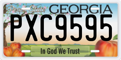 GA license plate PXC9595