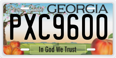 GA license plate PXC9600