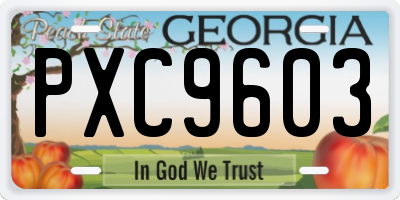 GA license plate PXC9603
