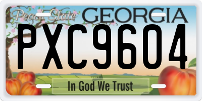 GA license plate PXC9604