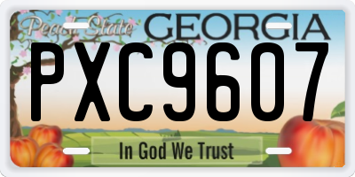 GA license plate PXC9607