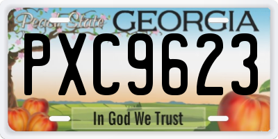 GA license plate PXC9623