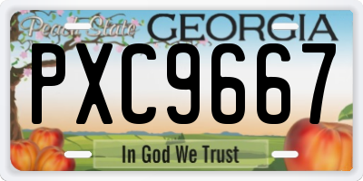 GA license plate PXC9667
