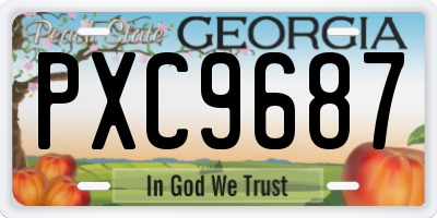 GA license plate PXC9687