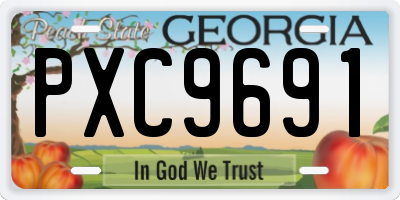 GA license plate PXC9691