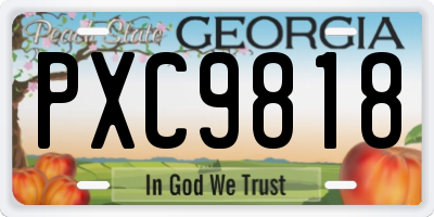 GA license plate PXC9818