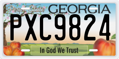GA license plate PXC9824