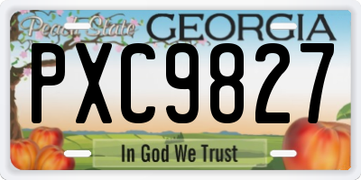 GA license plate PXC9827