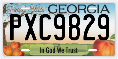 GA license plate PXC9829