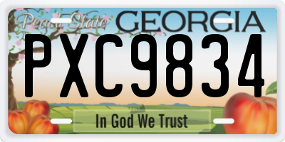 GA license plate PXC9834