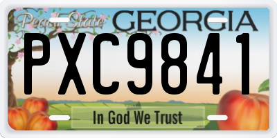 GA license plate PXC9841