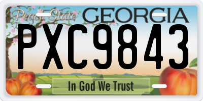 GA license plate PXC9843