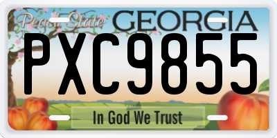 GA license plate PXC9855