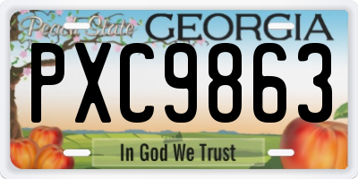 GA license plate PXC9863