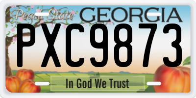 GA license plate PXC9873