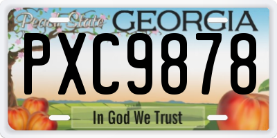 GA license plate PXC9878