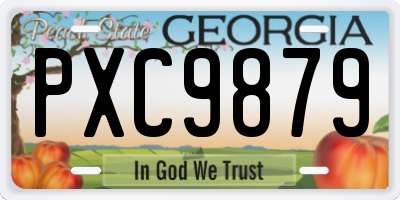 GA license plate PXC9879