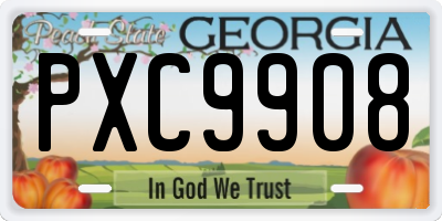 GA license plate PXC9908