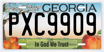 GA license plate PXC9909