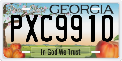 GA license plate PXC9910
