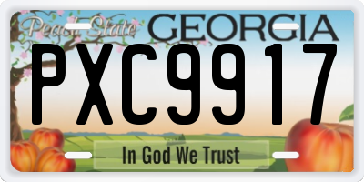 GA license plate PXC9917