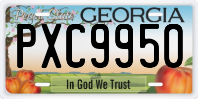 GA license plate PXC9950