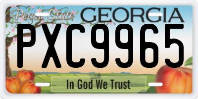 GA license plate PXC9965