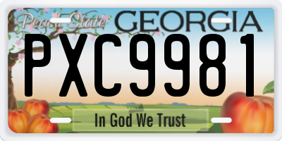 GA license plate PXC9981