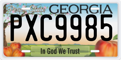 GA license plate PXC9985