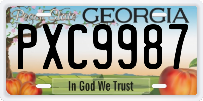 GA license plate PXC9987