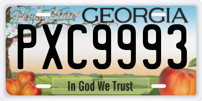 GA license plate PXC9993