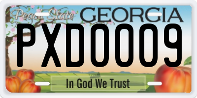 GA license plate PXD0009