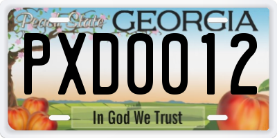 GA license plate PXD0012