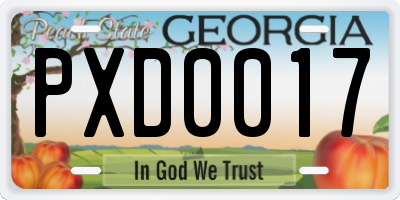 GA license plate PXD0017