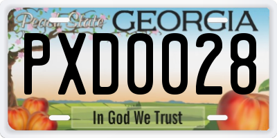 GA license plate PXD0028