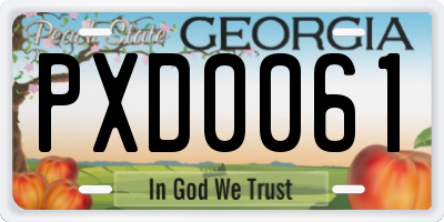 GA license plate PXD0061