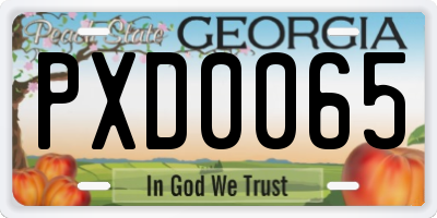 GA license plate PXD0065