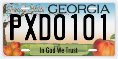 GA license plate PXD0101