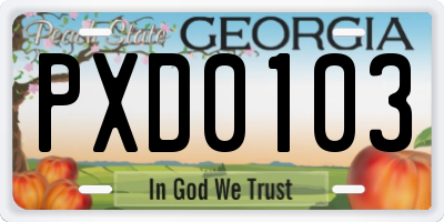 GA license plate PXD0103