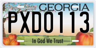 GA license plate PXD0113