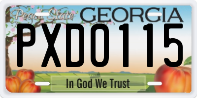 GA license plate PXD0115