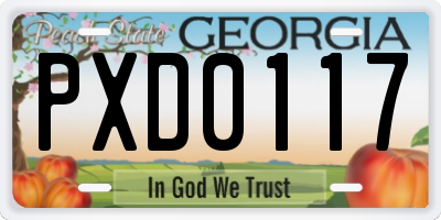 GA license plate PXD0117