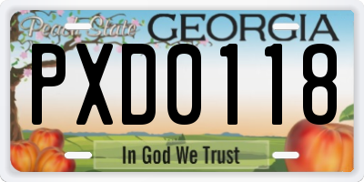 GA license plate PXD0118