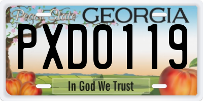 GA license plate PXD0119