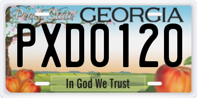 GA license plate PXD0120
