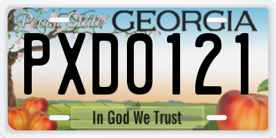 GA license plate PXD0121