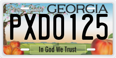 GA license plate PXD0125