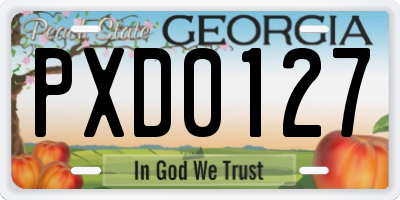 GA license plate PXD0127