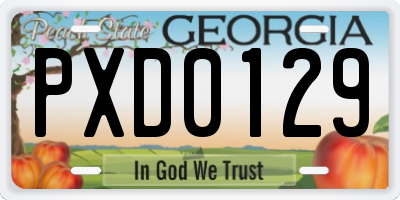 GA license plate PXD0129