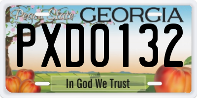 GA license plate PXD0132